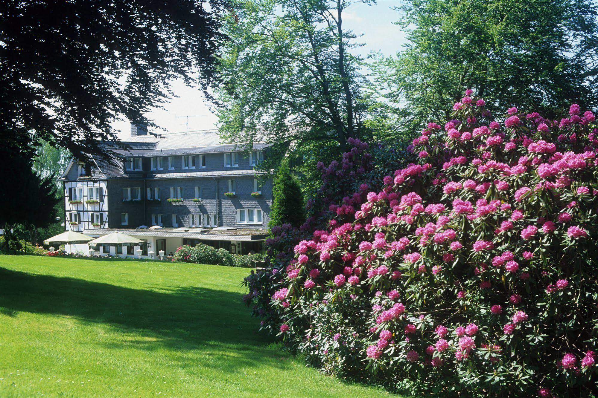 Hotel Jagdhaus Wiese Schmallenberg Zewnętrze zdjęcie